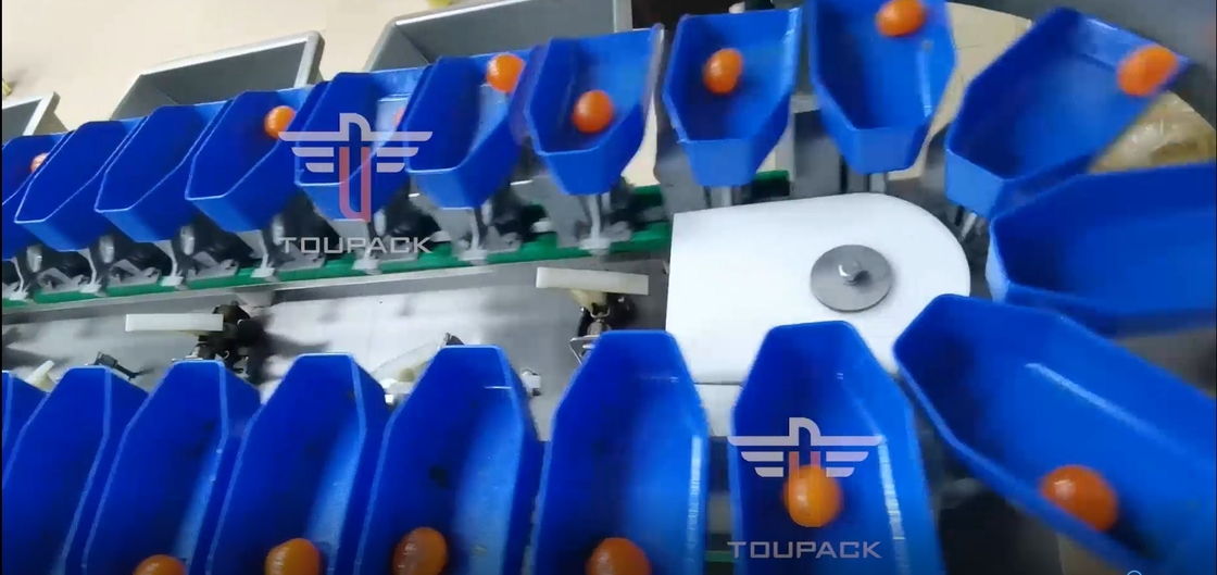 Touch Screen Multi Grade Circular Weight Sorting Machine For Yolk Fish Fruits