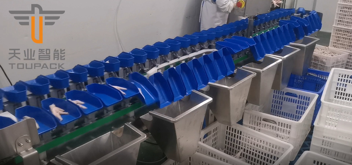Touch Screen Multi Grade Circular Weight Sorting Machine For Yolk Fish Fruits