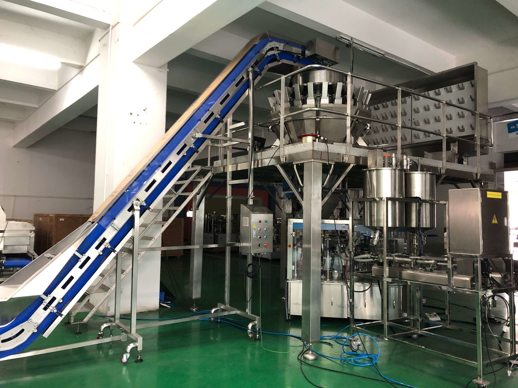 24 Heads Multihead Weigher Packing Machine Dual Screw Linear Pans For Oily Sticky Fresh Food