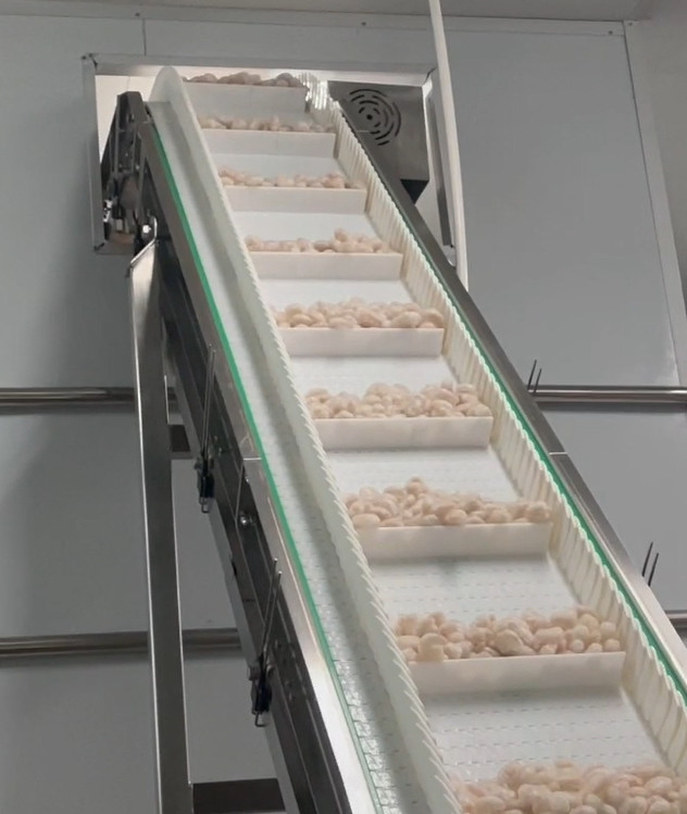 SS 304 Weigher Packing Machine Icy Shrimp Workshop Packing System Target Weight 200g~1500g