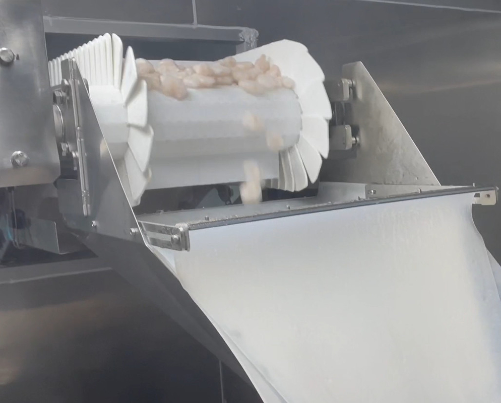 SS 304 Weigher Packing Machine Icy Shrimp Workshop Packing System Target Weight 200g~1500g
