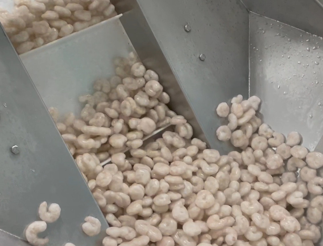 SS 304 Weigher Packing Machine Icy Shrimp Workshop Packing System Target Weight 200g~1500g