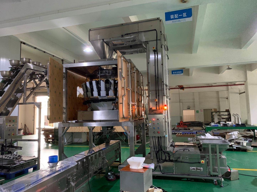 Customized Z Type Bucket Elevator Working With Multihead Weigher Packing System