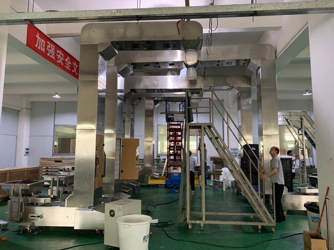 Customized Z Type Bucket Elevator Working With Multihead Weigher Packing System
