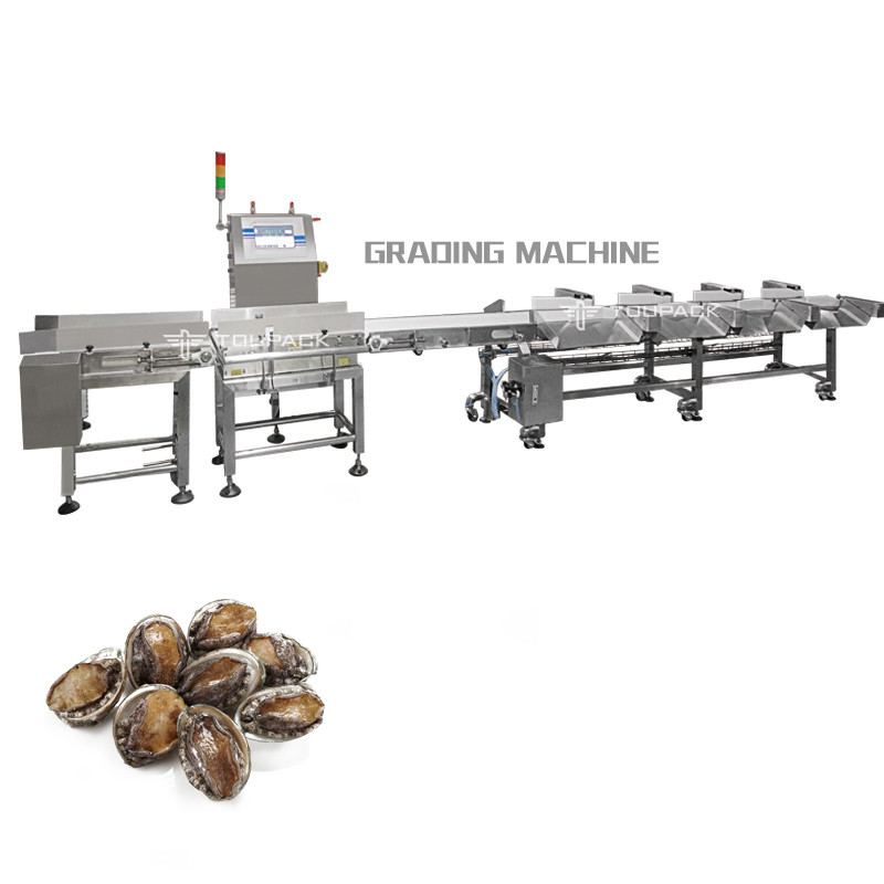Industry Automatic Weight Sorting Machine Conveyor Belt Chicken Shrimp Fruits Vegetables Weight Sorter