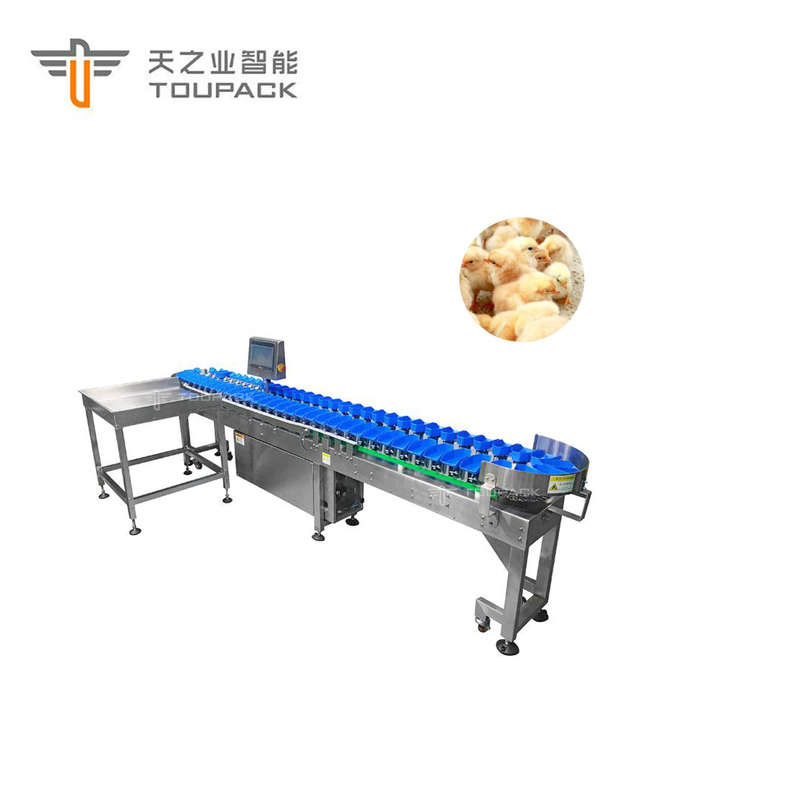 Custom Scallop Abalone Chicken Weight Sorting Machine Automatic Fruit Dates Grading Machine