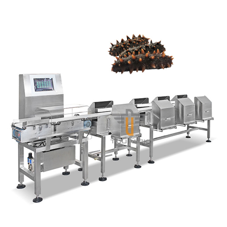 Fish Shrimp Trepang Weight Sorting Machine Automatic Conveyor Belt Grader Sorter Machine