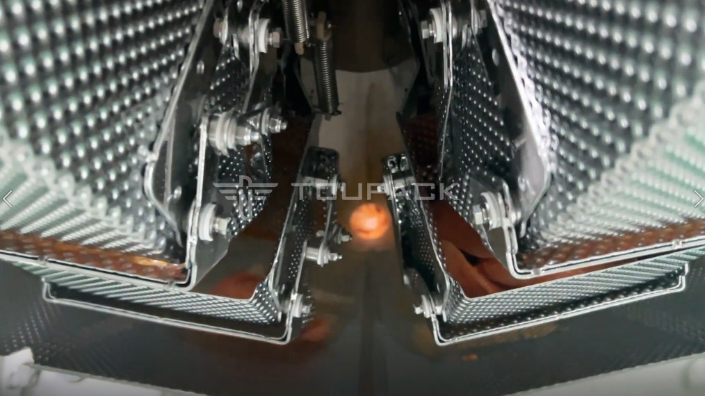 Automatic Screw Feeder Combination Weigher Filling Sticky Food Meat Marinated Chicken Wings Multihead Weigher