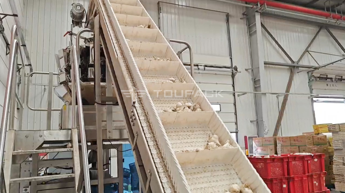OEM Automatic Weighing Machine Pouch Bean Sprout Coriander Potato Garlic Baby Carrot Packing Machine