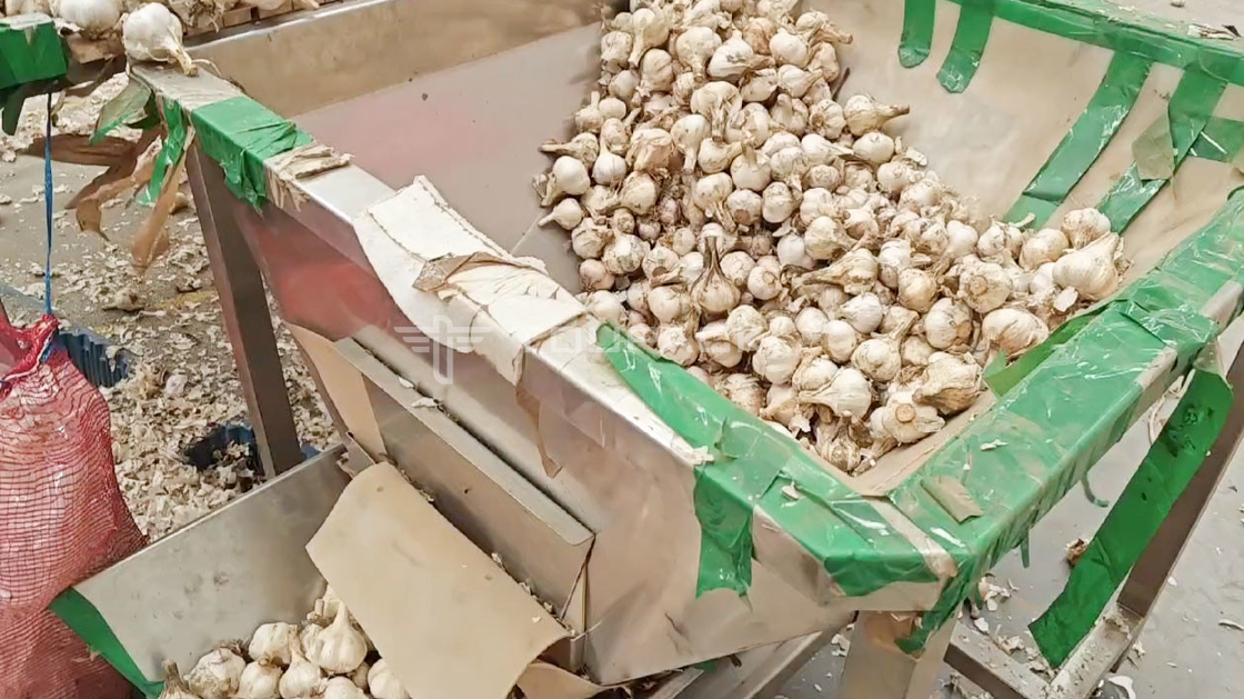 OEM Automatic Weighing Machine Pouch Bean Sprout Coriander Potato Garlic Baby Carrot Packing Machine