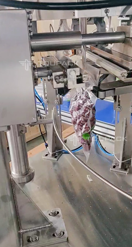 Automatic Rotary Bag Filling And Sealing Machine for Doypack Premade Stand Up Pouch Red Jujube