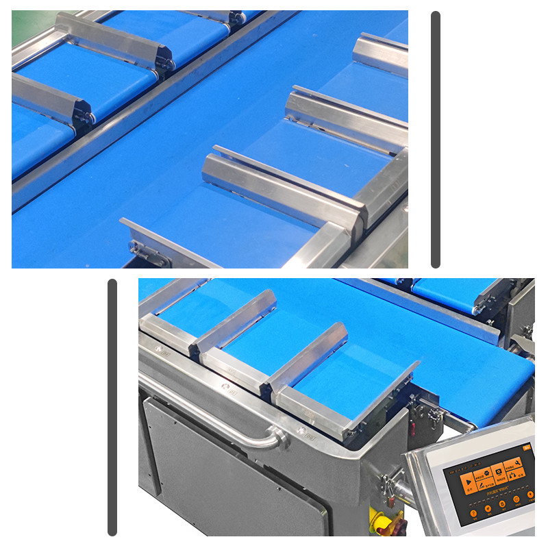 Chinese Smoke Sausages Semi-Automatic 12 Head Multihead Weigher Packing Machine Cured Sausage Packaging Bagging Machine