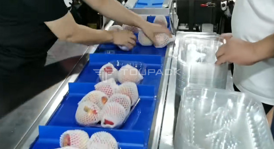 Stainless Steel 304/316 Combination Weigher with 220V Power and 1 KW Output for High-Accuracy Fruit Packing