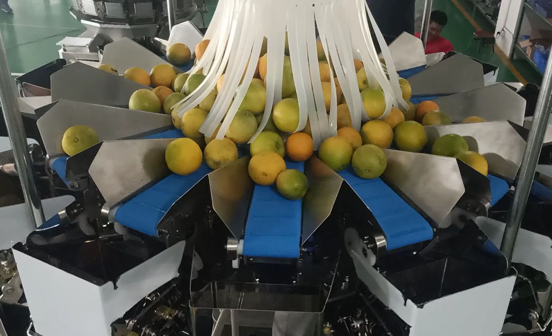 14 Head Multihead MCU/PLC Weigher Packing Machine For Weiging Fruits Oranges