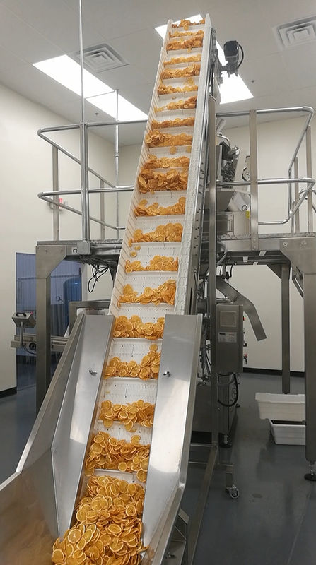 40 Bags / Min PLC Rotary Packing Machine Multihead Weigher For Dried Fruit Lemond Premade Pouch