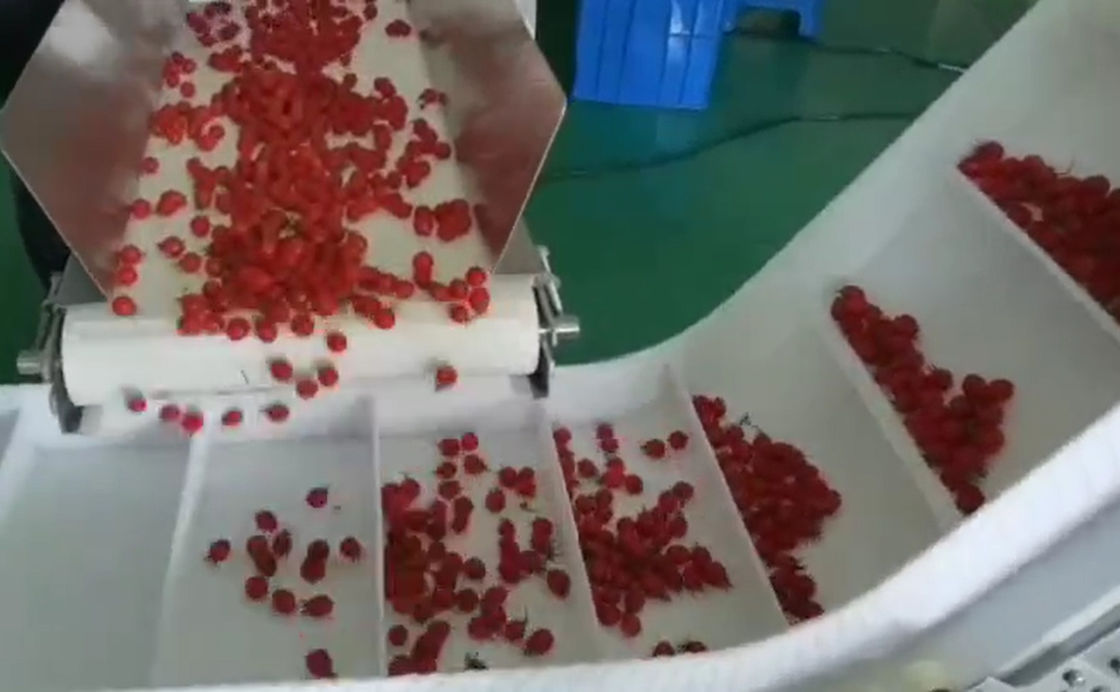 SUS304 Multihead Weigher Auto Weighing And Packaging System For Cherry Frozen Fruits In Boxes