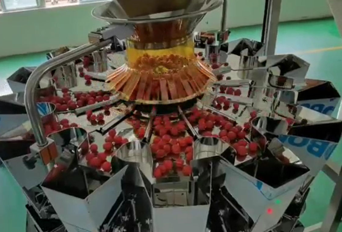SUS304 Multihead Weigher Auto Weighing And Packaging System For Cherry Frozen Fruits In Boxes