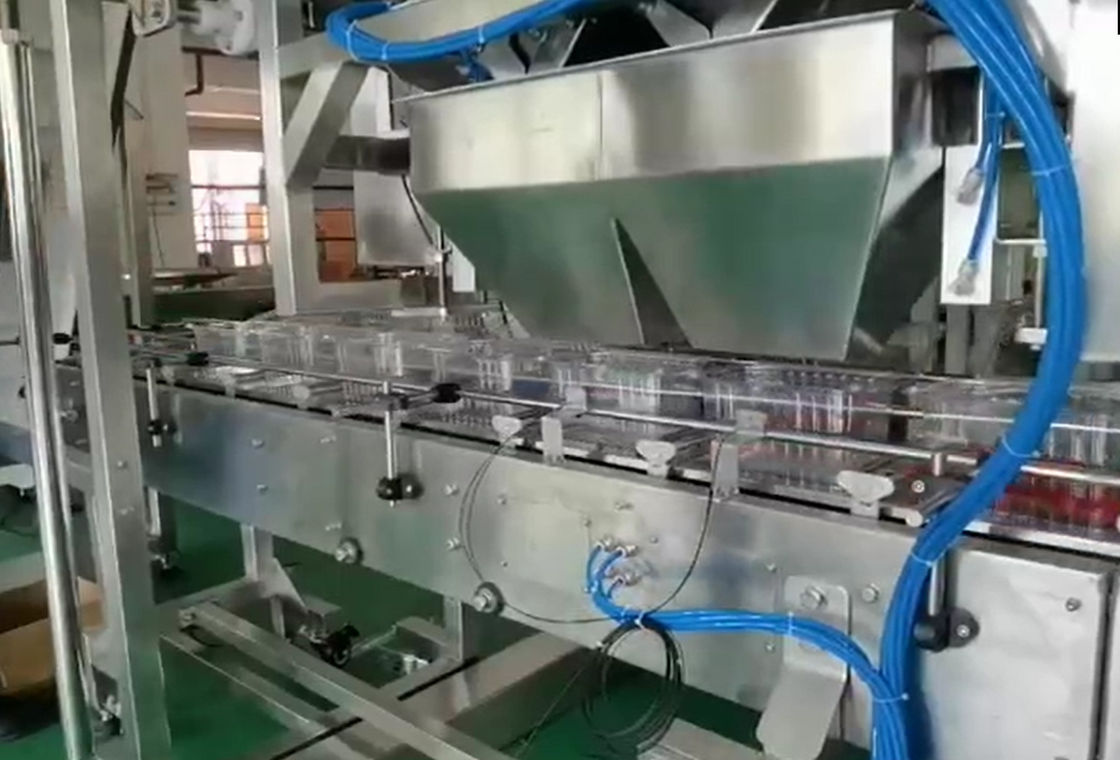 SUS304 Multihead Weigher Auto Weighing And Packaging System For Cherry Frozen Fruits In Boxes