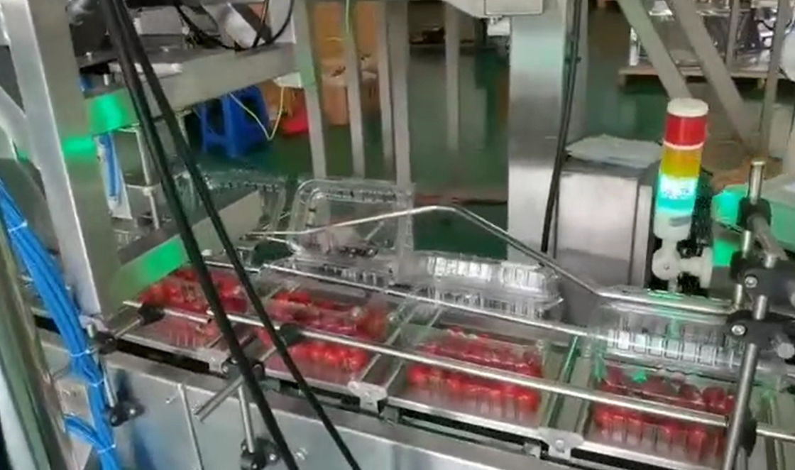 SUS304 Multihead Weigher Auto Weighing And Packaging System For Cherry Frozen Fruits In Boxes