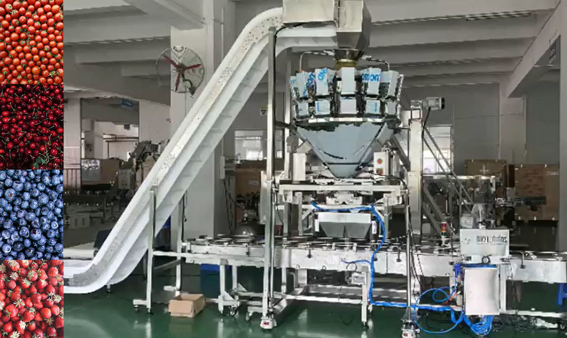 SUS304 Multihead Weigher Auto Weighing And Packaging System For Cherry Frozen Fruits In Boxes