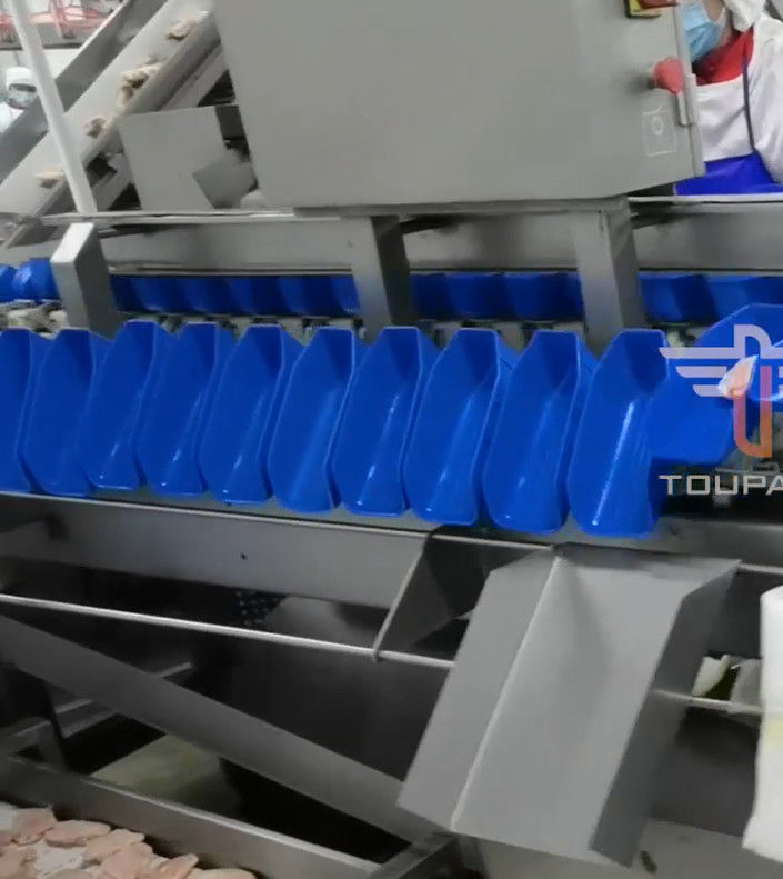 Safety Circular Multi Head Weight Sorting Machine For Sea Food 300 Times / Min