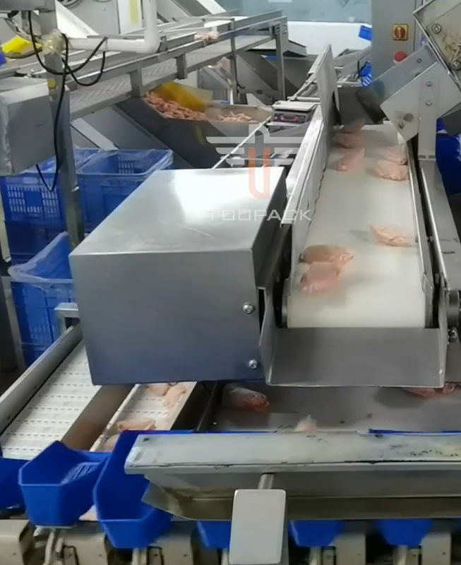 Safety Circular Multi Head Weight Sorting Machine For Sea Food 300 Times / Min