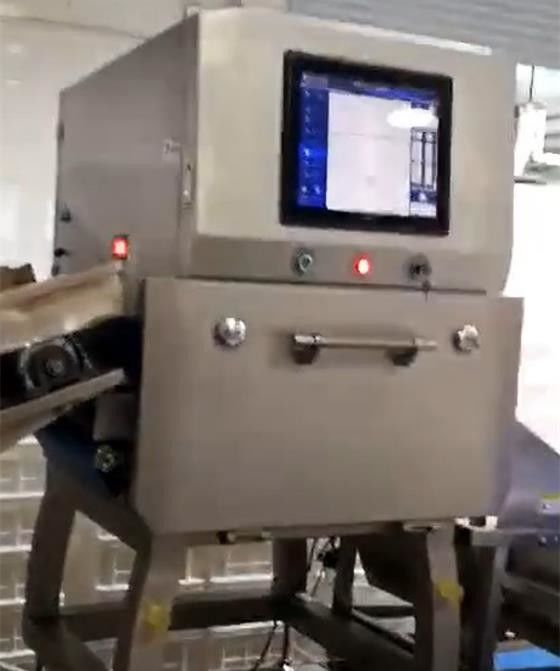 1 Microsievert / H X Ray Food Inspection Systems SUS304 Detector For Chips Nuts