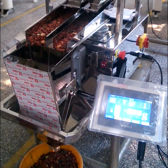 10WPM Auto Weighing Filling And Sealing Machine Single Head 3L Linear Weigher Food Grade