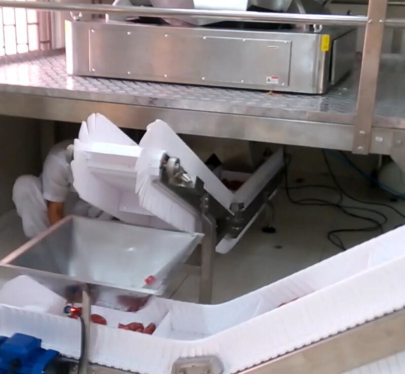 5000g Hopper Multihead Weigher Packing Machine For Food Factory Industry 60 BPM Sugar