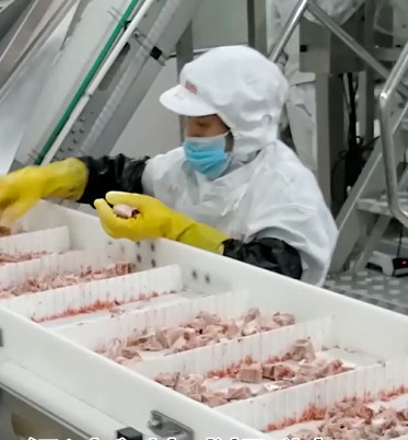 20 Bag / Min Multihead Weigher Packing Machine For Icy Meat Bone Product