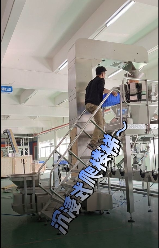 Stainless Steel Z Incline Bucket Conveyor Working With 10/14 Heads Multihead Weigher