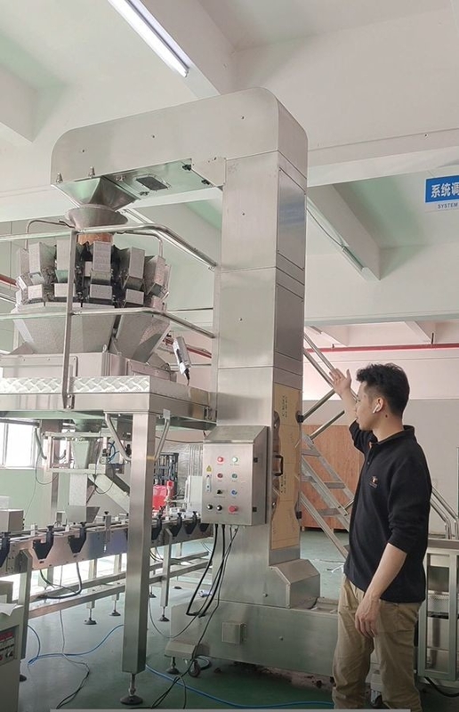 Stainless Steel Z Incline Bucket Conveyor Working With 10/14 Heads Multihead Weigher