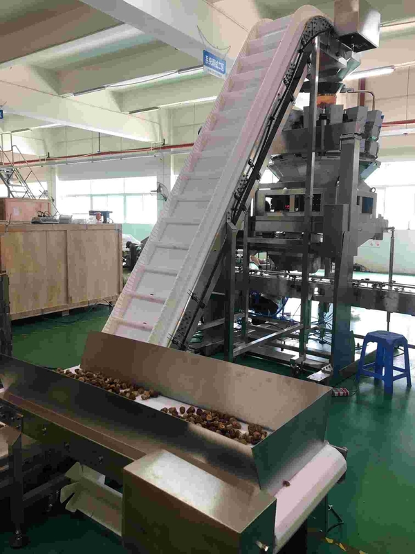 20m/min Nuts Packing Machine Food Grade Cherry Tomato Stainless Steel Swan Neck Tilting Conveyor