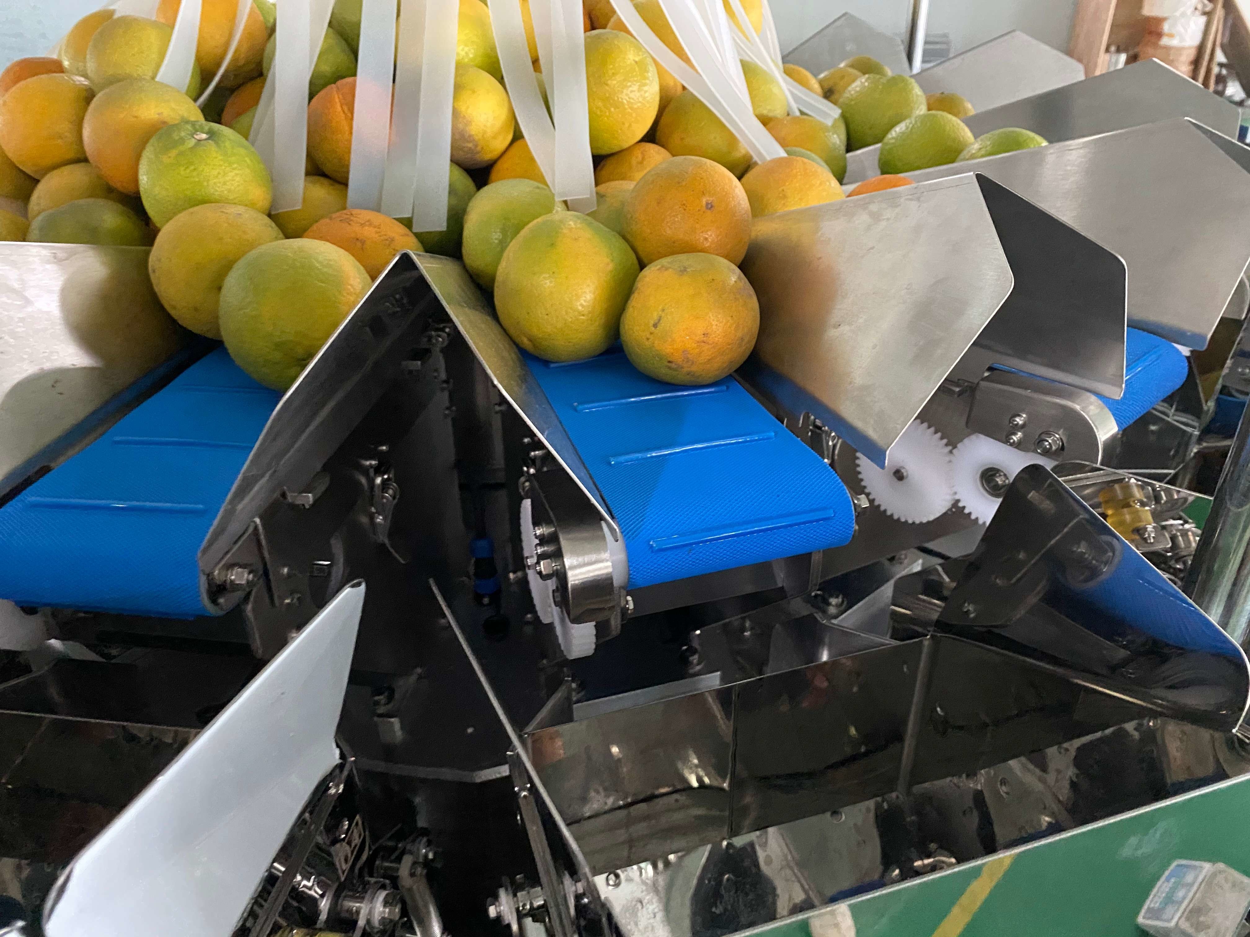 PVC Conveying Belt Multihead Weigher Packing Machine 5000g For Sticky