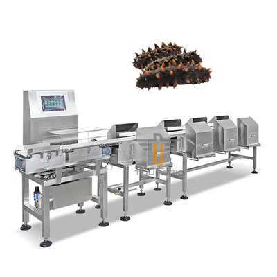 Fish Shrimp Trepang Weight Sorting Machine Automatic Conveyor Belt Grader Sorter Machine