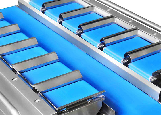 ISO Certified 12 Belt IP65 Fruit And Vegetable Packaging Machine Vegetable Weigher