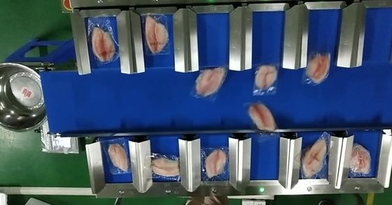 TOUPACK 12 Head 30WPM Belt Weigher System Conveyor Belt Weigher For Sea Food