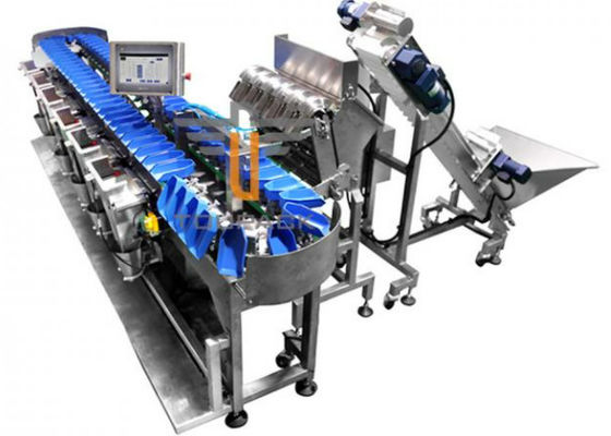 300WPM 1000g Fruit And Vegetable Packaging Machine Weight Sorting Machine