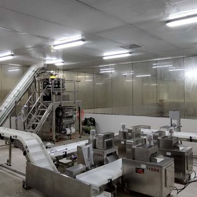 ISO9001 Conveyor Belt Sorting System