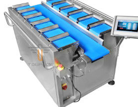 TOUPACK Linear Weigher Packing Machine
