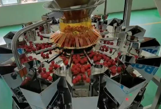 SUS304 Multihead Weigher Auto Weighing And Packaging System For Cherry Frozen Fruits In Boxes