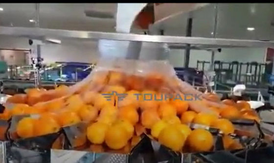 Automatic Orange Fruit And Vegetable Packaging Machine With Net