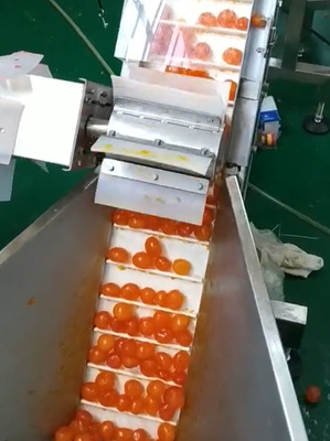 Multi Weigher Vacuum Packaging Machine Yolk Sorting And Conveying Project