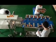 Belt scale for fruit weighting and box-filling machine