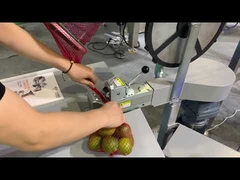 agriculture product Net packaging and weigting applying case