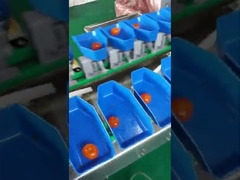 Yolk sorting and conveying project (vacuum packaging for option)