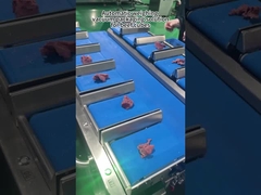 Meat Multihead Weigher Packing Machine