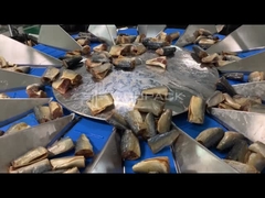 TOUPACK 14 head Multihead Weigher For Fish weighing