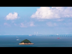 Multihead Weigher manufacturer