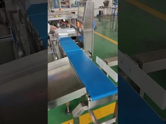 Customized High Precision Check Weighers for Diverse Food & Health Product Packaging Bags/Jars/Bottl